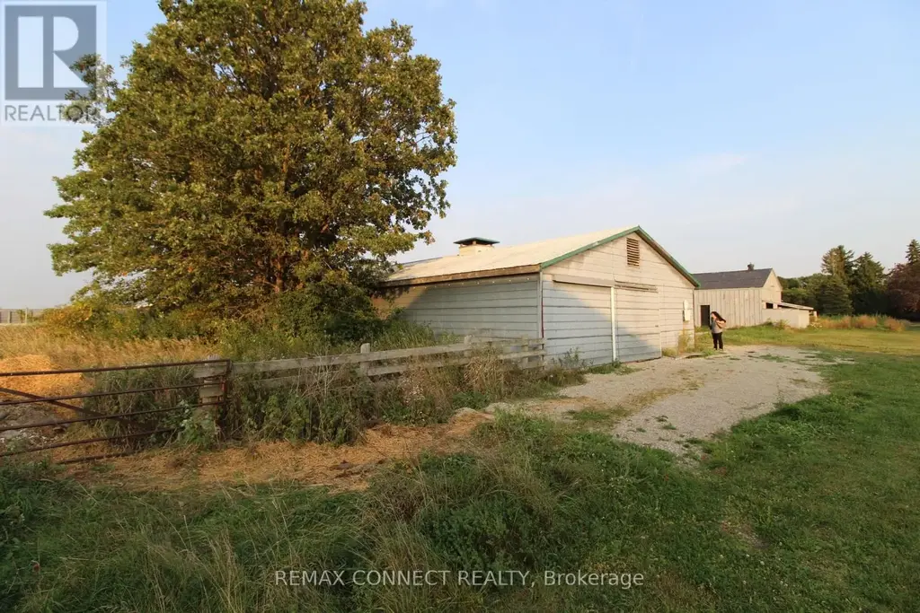 Half The Barn Only - 10748 Mcewen Drive, Middlesex Centre